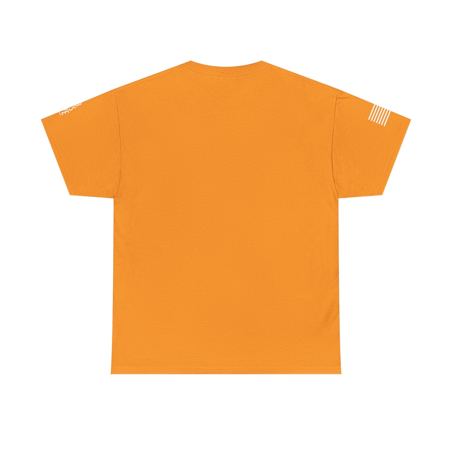 FLAG 13 Colors: Unisex Heavy Cotton Tee - Raiders Graphic Shirt for Fans