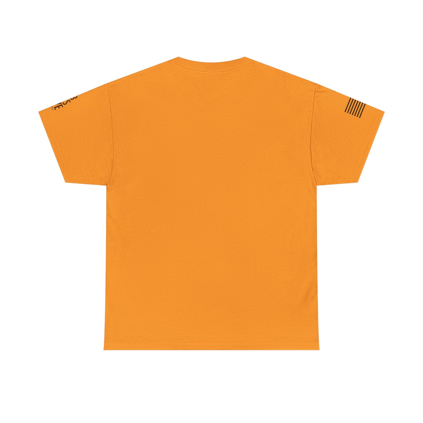 FLAG 13 Colors: Unisex Heavy Cotton Tee - Raiders Graphic Shirt for Fans