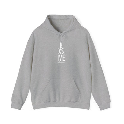 13 Colors: Cozy Unisex Heavy Blend™ Hooded Sweatshirt for Every Occasion