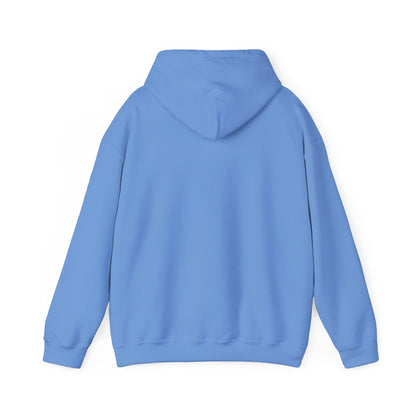 13 Colors: Cozy Unisex Heavy Blend™ Hooded Sweatshirt for Every Occasion