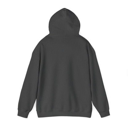 13 Colors: Cozy Unisex Heavy Blend™ Hooded Sweatshirt for Every Occasion